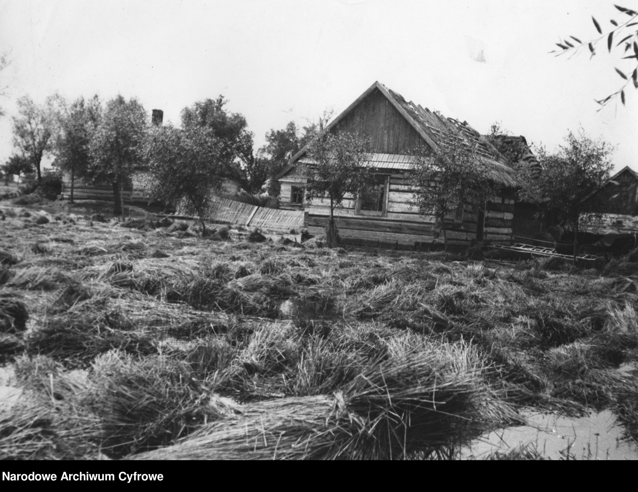 Gdzie się podziała historia polskiej wsi? Odcinek 4