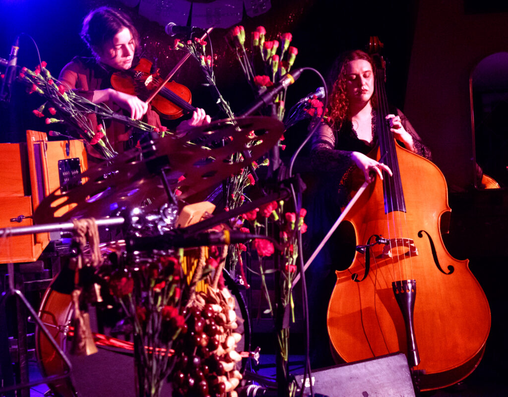 morye dzik warszawa koncert skrzypce kontrabas